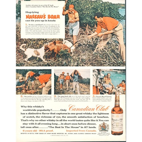 1956 Canadian Club Rye Whiskey Vintage Print Ad Nassau Boar Hunt Royal Victoria - Picture 1 of 1